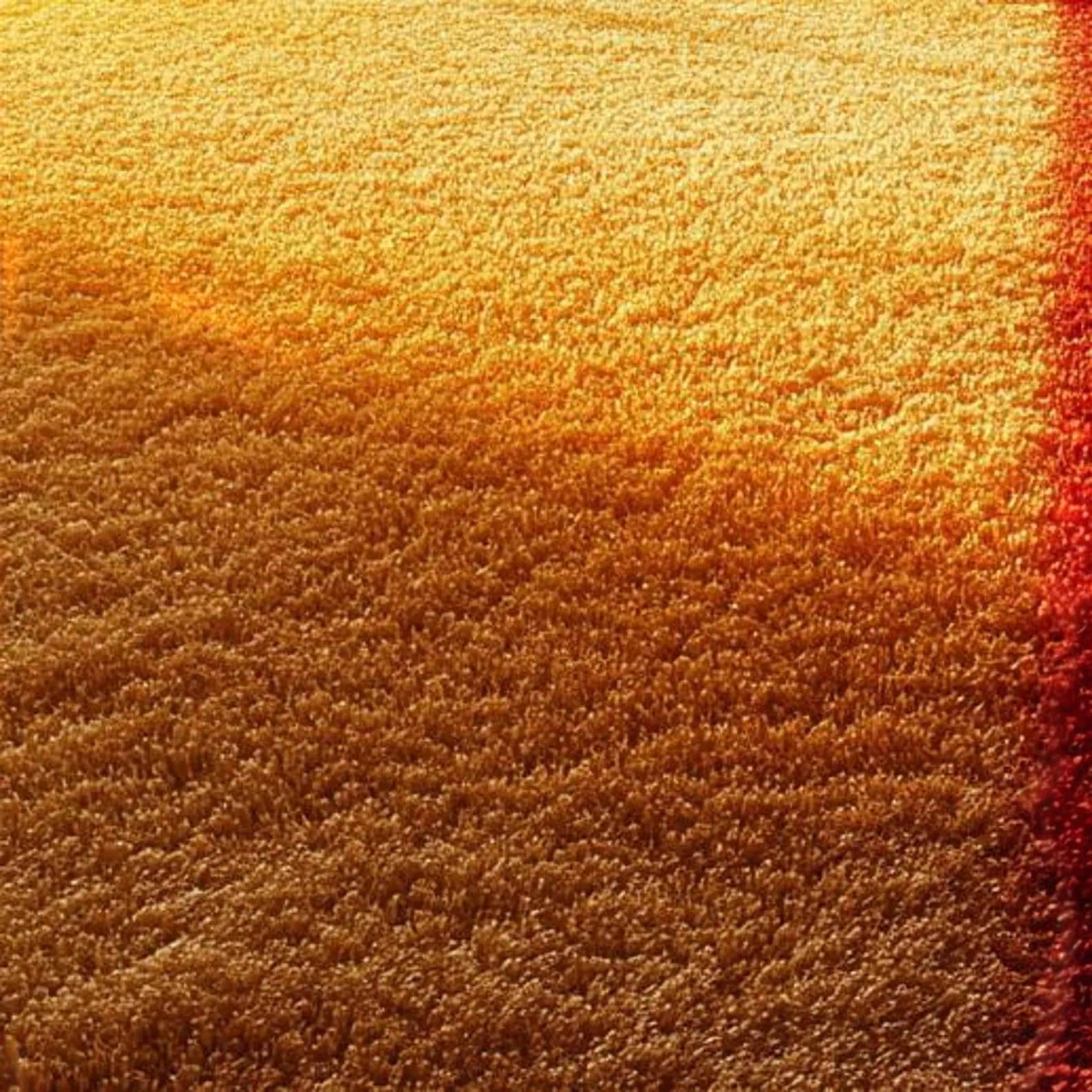 Hand-Tufted Wool Rug – Warm Ombre Area Rug in Yellow & Orange | Modern Minimalist Carpet | Soft Cozy Floor Decor | Handmade Accent Rug