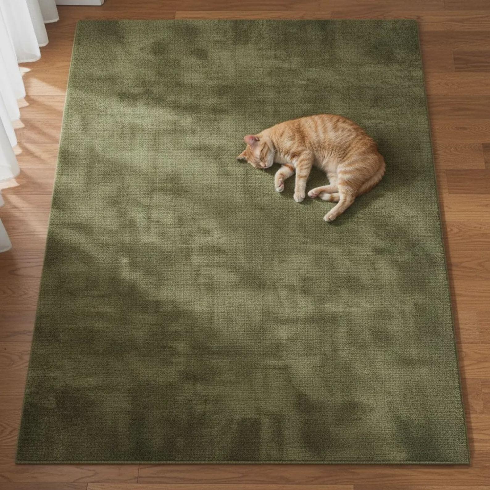 Soft Plush Hand Tufted Rug – Modern Area Rug, Cozy Minimalist Floor Carpet for Living Room & Bedroom